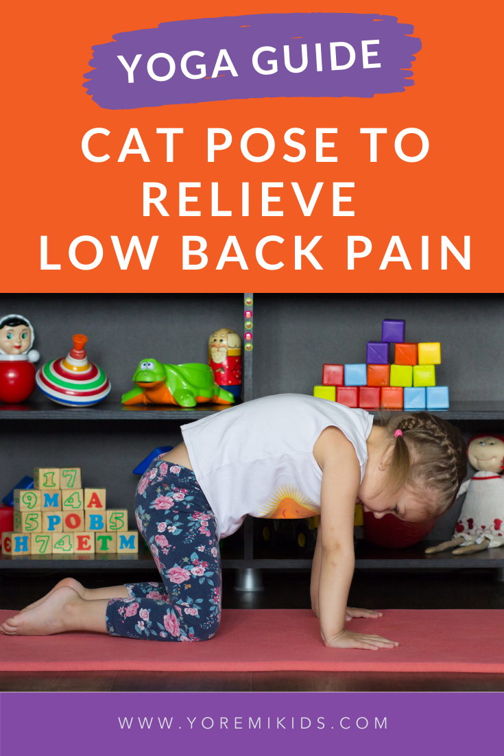 How to Use Cat Pose to Relieve Lower Back Pain Yo Re Mi